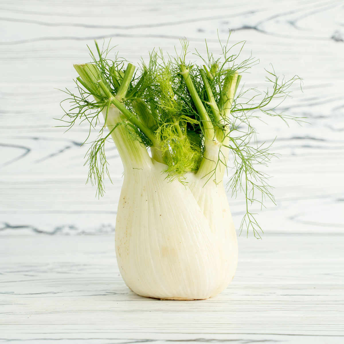 Fennel