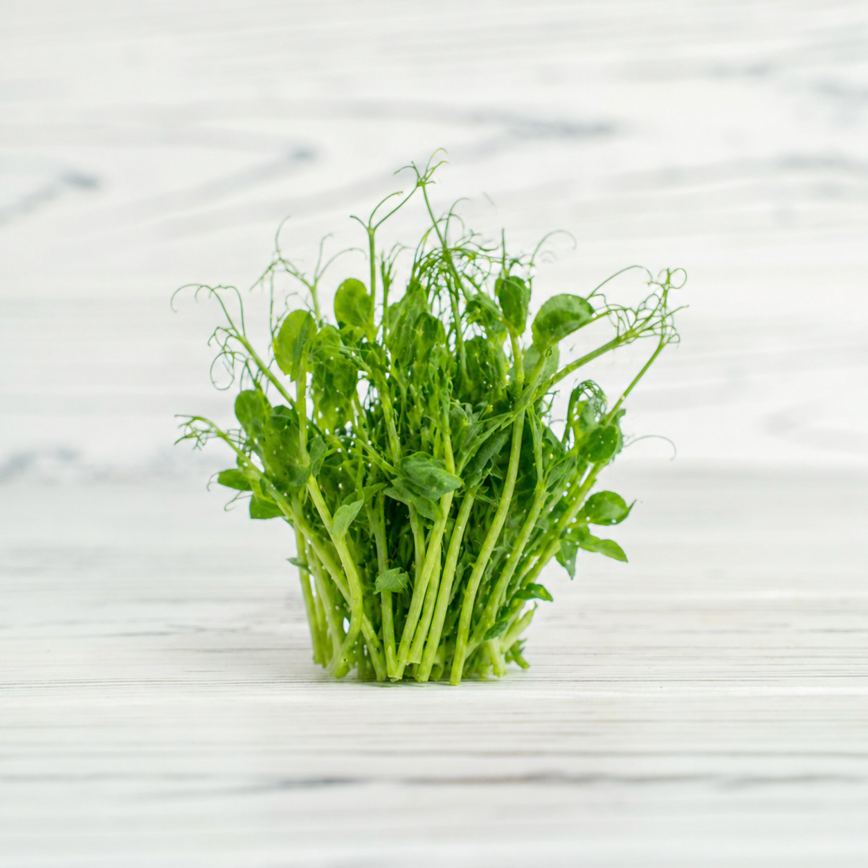 Pea Shoots
