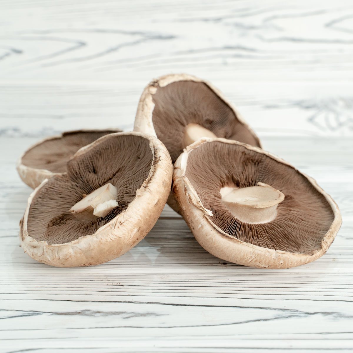 Portobello Mushrooms